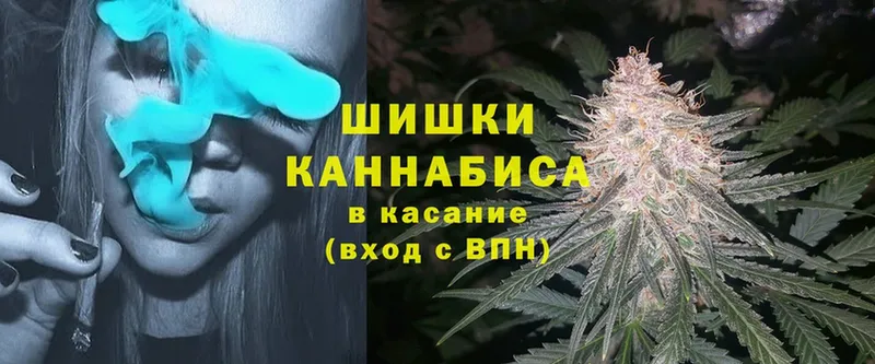 мориарти наркотические препараты  Рошаль  Шишки марихуана Ganja 